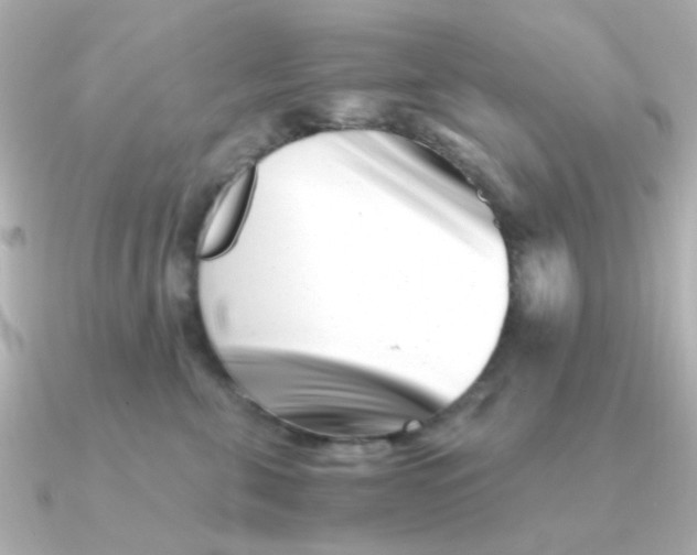 X0000090720571200708101555