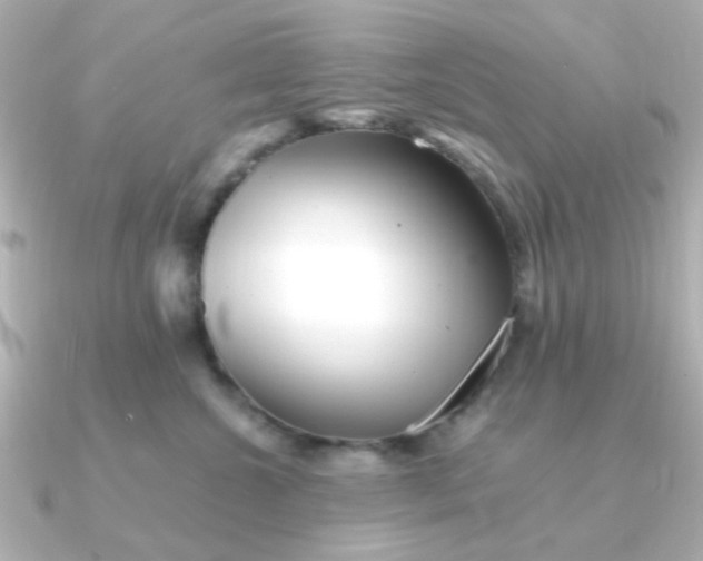 X0000090720572200708101555