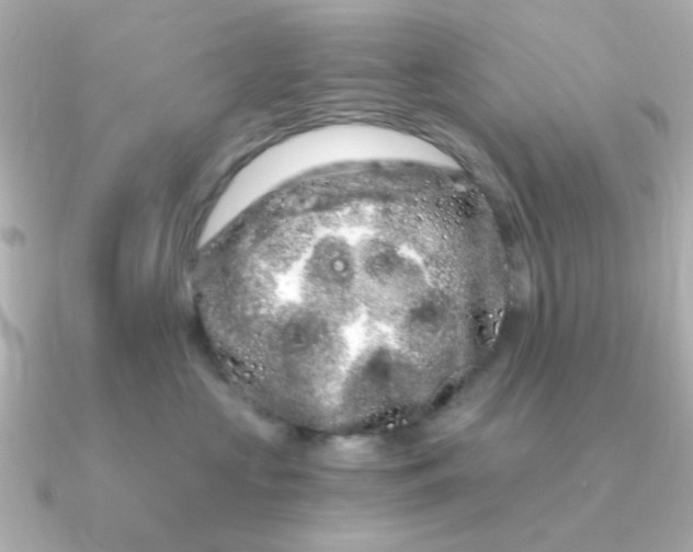 X0000090720573200708101555