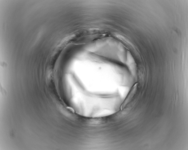 X0000090720574200708101555