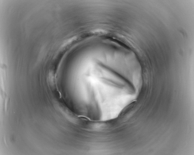 X0000090720575200708101556