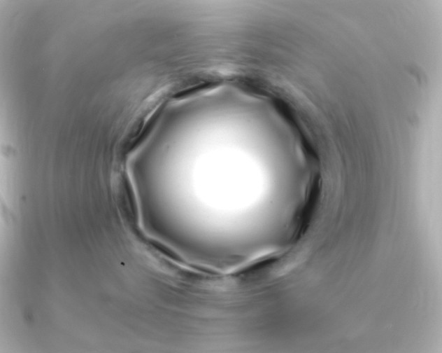 X0000090720576200708101556