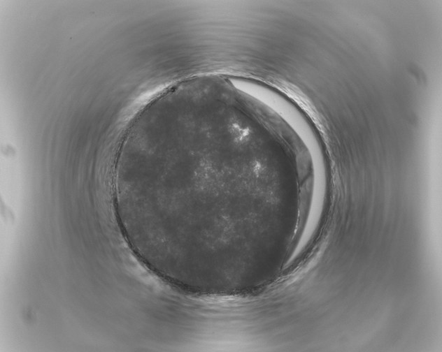 X0000090720577200708101555