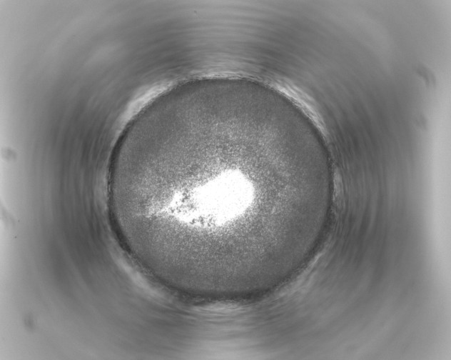 X0000090720578200708101555