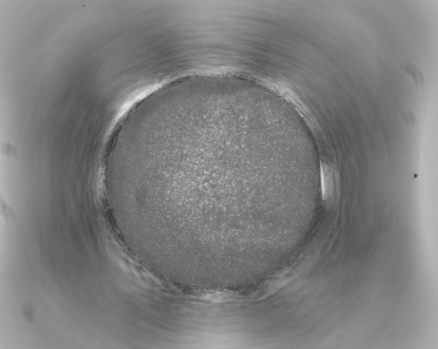 X0000090720579200708101555