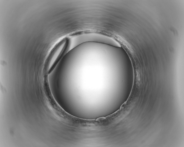 X0000090720580200708101555