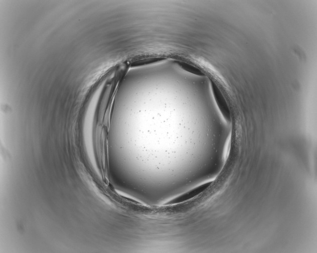 X0000090720581200708101555