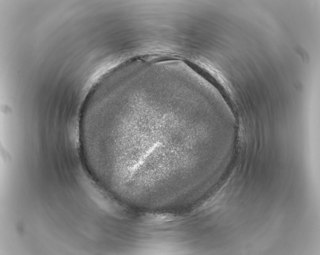 X0000090720582200708101555