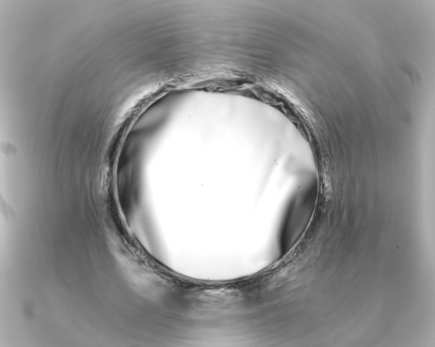 X0000090720583200708101555