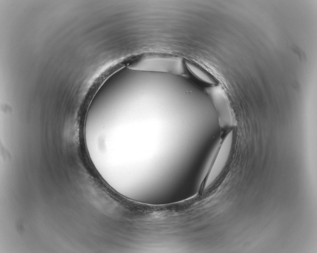 X0000090720584200708101555