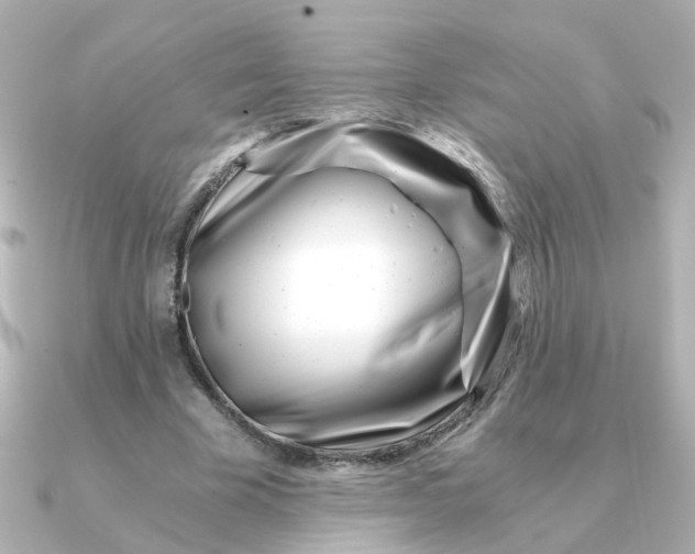 X0000090720585200708101555