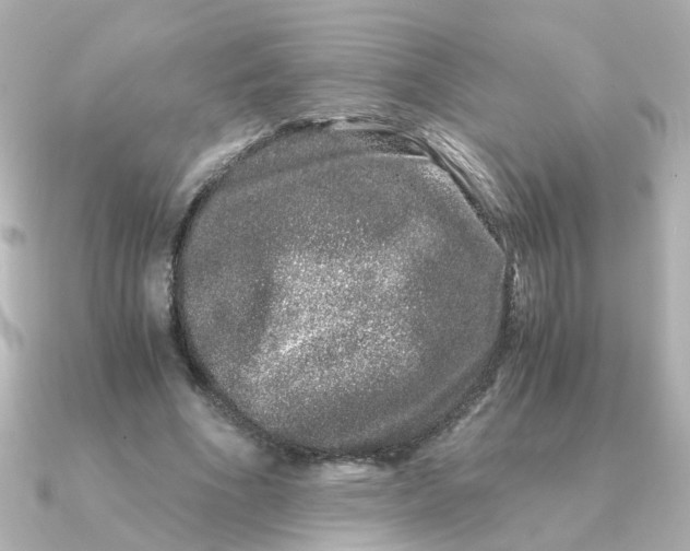 X0000090720586200708101555