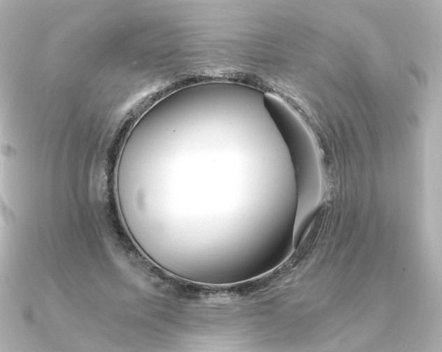 X0000090720587200708101555