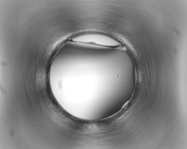 X0000090720588200708101555