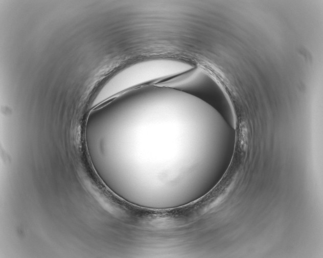 X0000090720589200708101555