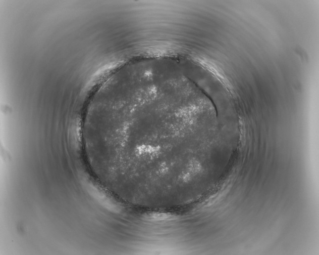 X0000090720590200708101555