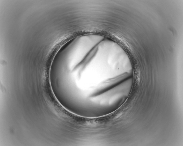 X0000090720591200708101555