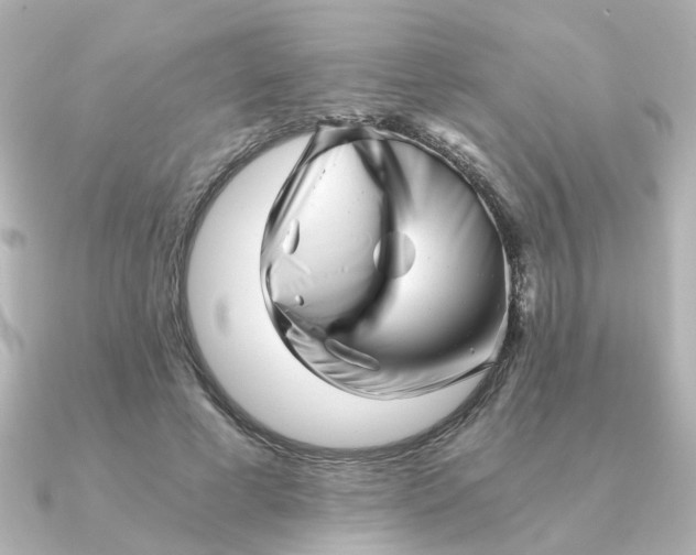 X0000090720593200708101555