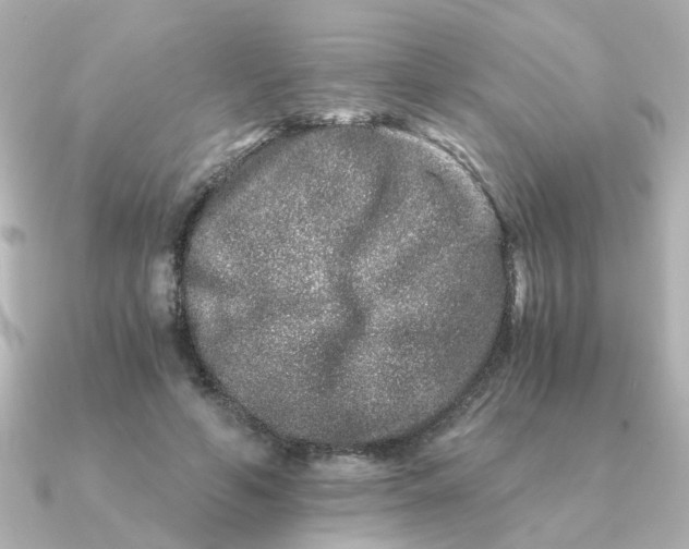 X0000090720594200708101555