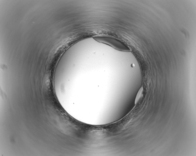 X0000090720595200708101555