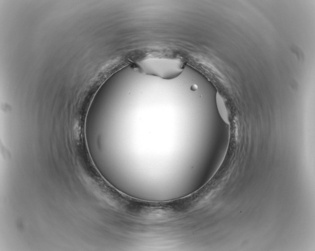 X0000090720597200708101555