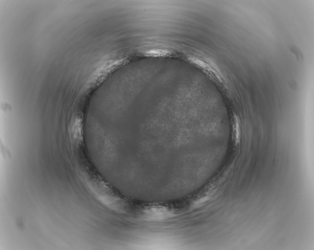 X0000090720598200708101555