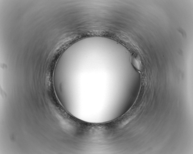 X0000090720599200708101555