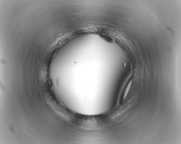 X0000090720600200708101555