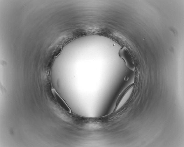 X0000090720601200708101555