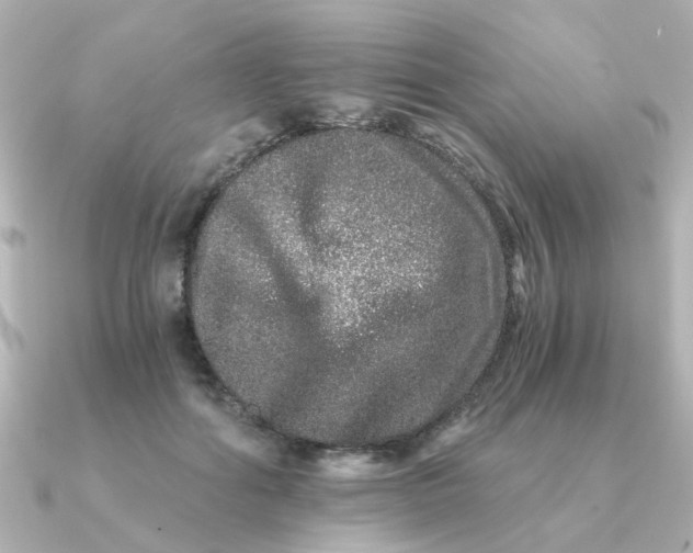 X0000090720602200708101555