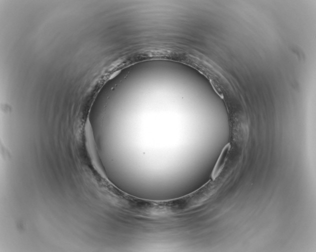 X0000090720604200708101555