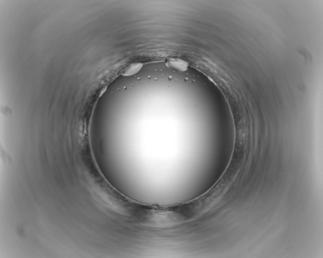 X0000090720605200708101555