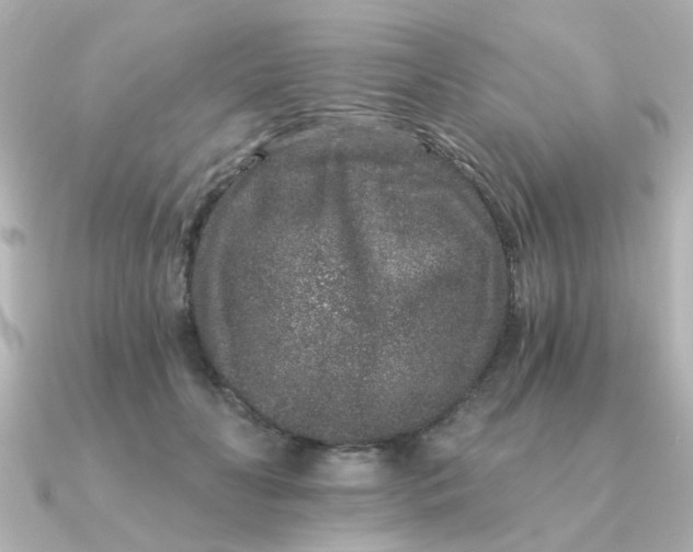 X0000090720606200708101555