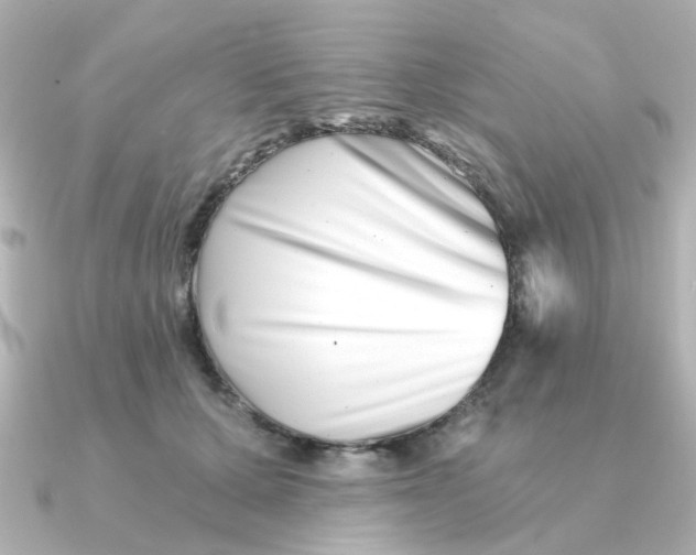 X0000090720607200708101555