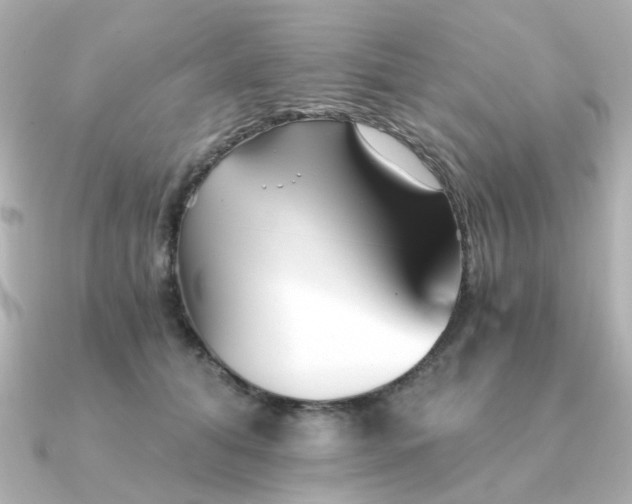 X0000090720608200708101554