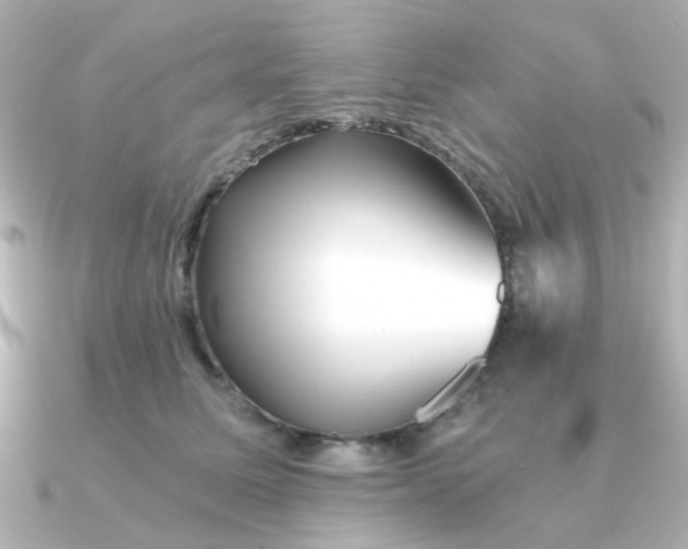 X0000090720611200708101554