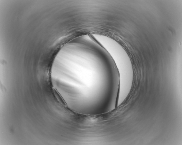 X0000090720613200708101554