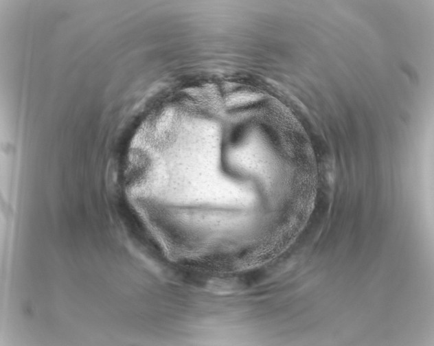 X0000090720615200708101554