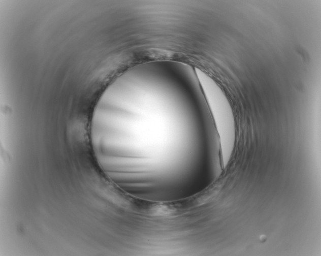 X0000090720616200708101554