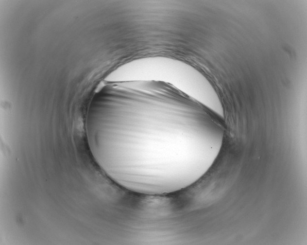 X0000090720617200708101554