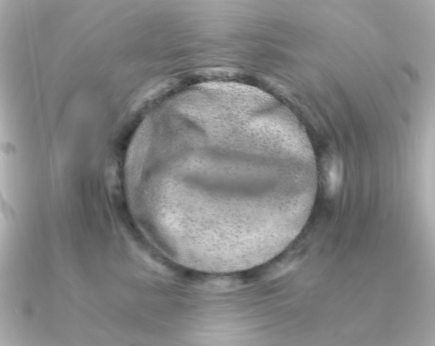 X0000090720619200708101554