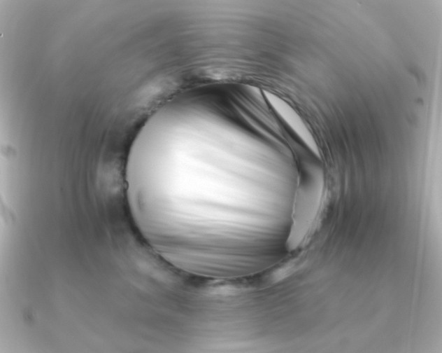 X0000090720620200708101554