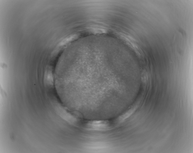 X0000090720622200708101554