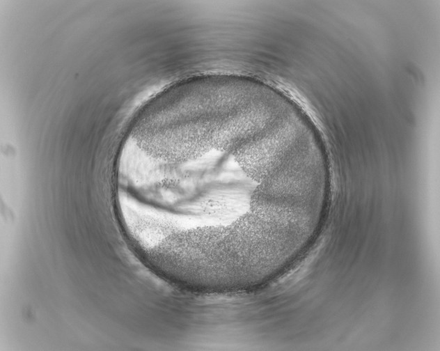 X0000090720625200708101554