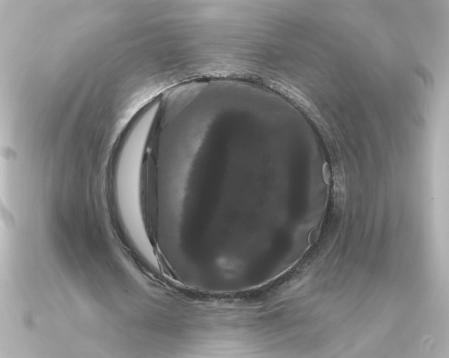 X0000090720626200708101554