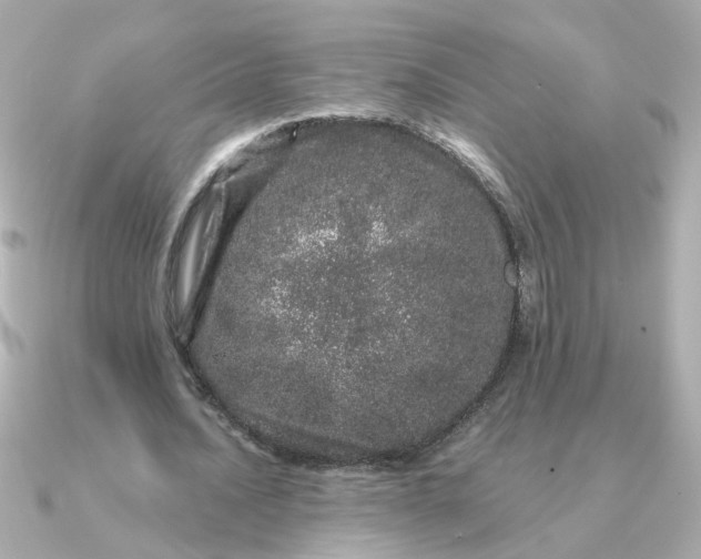 X0000090720628200708101554