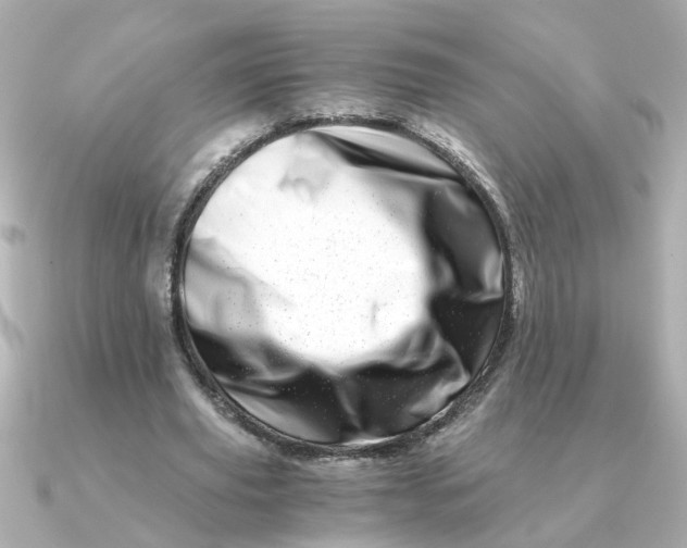 X0000090720629200708101554