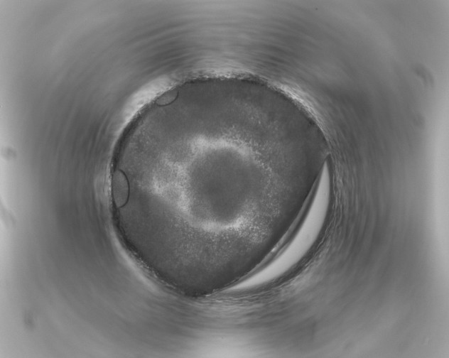 X0000090720630200708101554