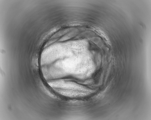 X0000090720633200708101554