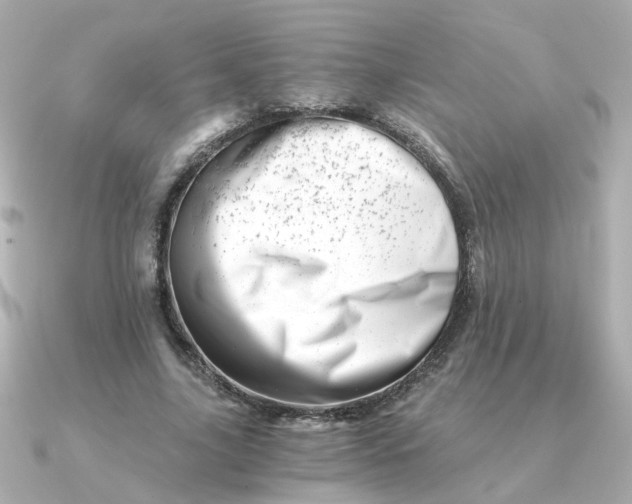 X0000090720635200708101554